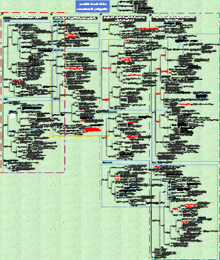 Pathologie - trouble local de la circulation sanguine