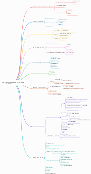 Plan d'optimisation des moteurs de recherche SEO