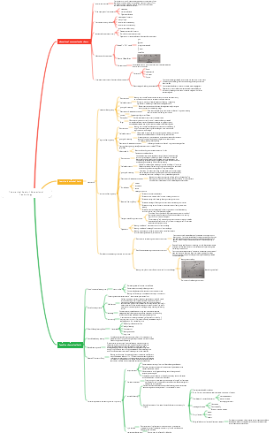 Theoretical Basis of Educational Technology