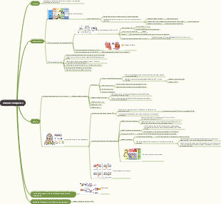Immunologie médicale – Carte mentale de l’immunité des muqueuses