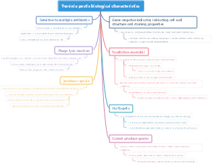 Yersinia pestis biological characteristics