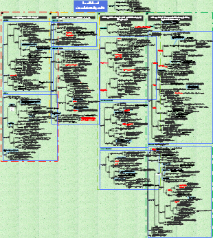 Pathology - local blood circulation disorder