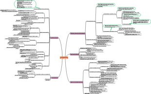 physiology blood circulation