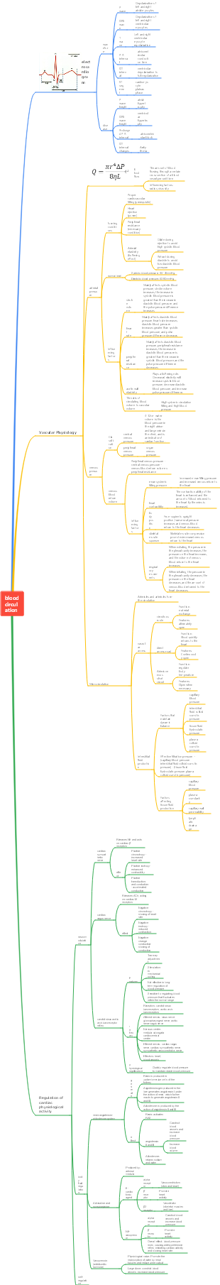 Physiology-blood circulation (Part 2)