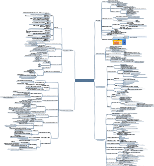 Artificial Intelligence Structural Principles and Their Applications