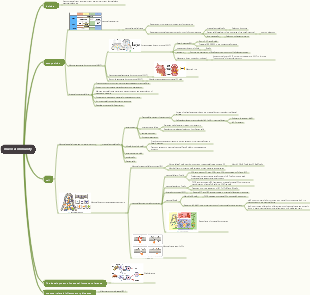 Medical Immunology—Mucosal Immunity Mind Map