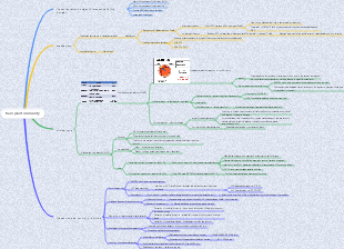 Medical Immunology—Transplantation Immunity Mind Map