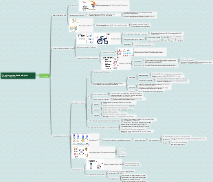 Medical Immunology—T Lymphocyte-Mediated Adaptive Immune Response Mind Map