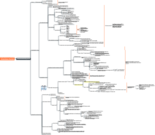 Physiologie Chapitre 5 Respiration