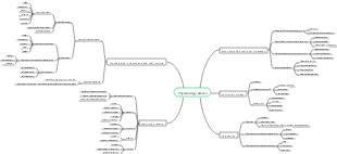 Psychology basics mind map