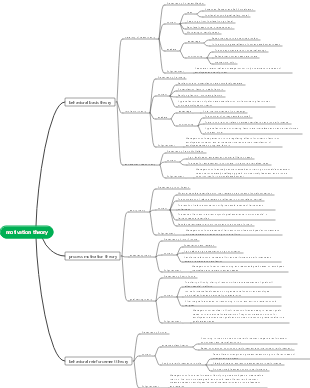 Management - Motivation Theory