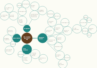 Drowning prevention management map mind map