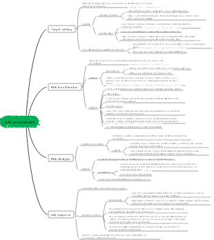 risk assessment