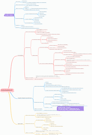 Microbiologie médicale – Carte mentale des bactéries entérohépatiques