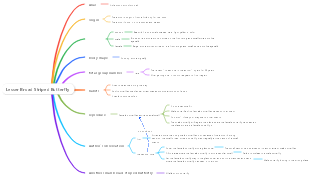 Animals-Mind Map of Small Broad-striped Butterfly