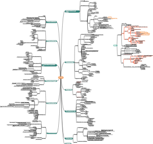 Medicine-Stomatology Mind Map