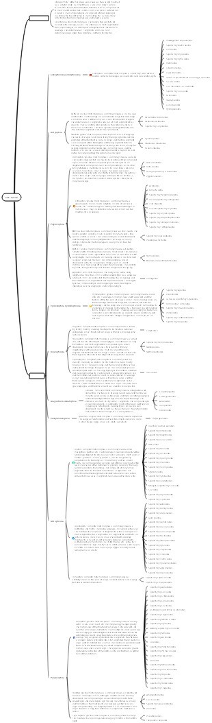 Insecta subcategory guide mind map