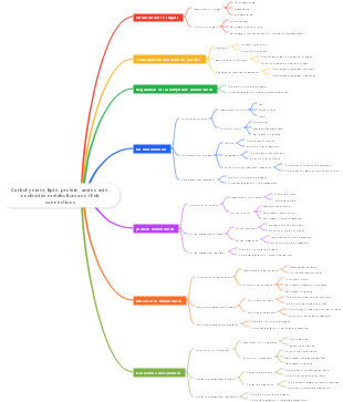 Chemistry-Carbohydrates Lipids Proteins_Amino acids Nucleotide metabolism and their connections