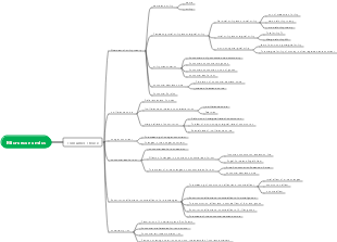 Microeconomics consumer choice mind map