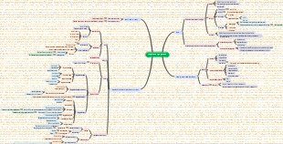 Medicine-Respiratory System Mind Map