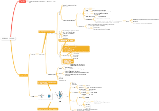 Veterinary Medicine-Respiratory System Mind Map