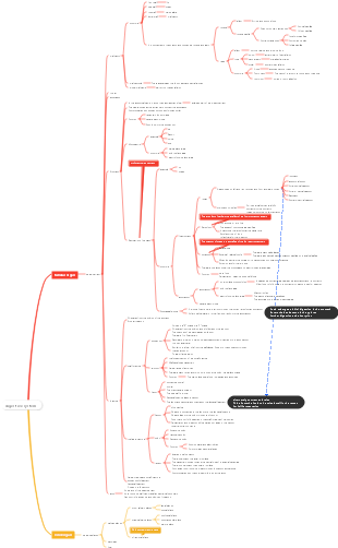 Animal anatomy digestive system mind map