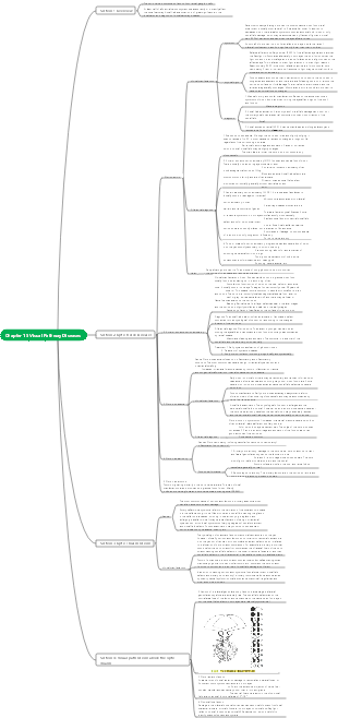 Ophthalmology Chapter 15 Visual Pathway Diseases