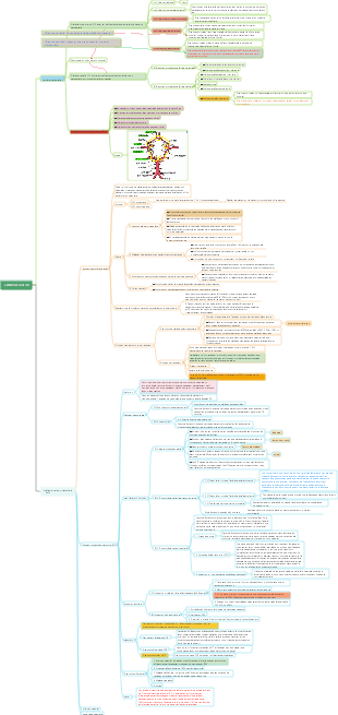 8. Maladie cérébrovasculaire