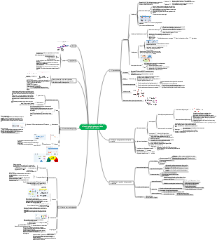 4. Carte mentale des tests biochimiques des troubles du métabolisme du glucose