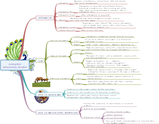 High School Biology 3.4 Information Transmission of Ecosystems