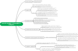 Biology - Transcriptional regulation in eukaryotes
