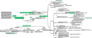 Carte mentale des micro-organismes procaryotes