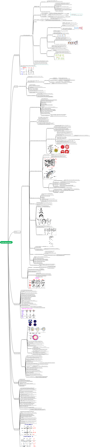 Carte mentale Zoologie Invertébrés Caractéristiques