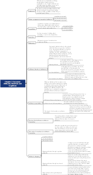 Consumer Psychology Chapter 3 Consumer Attitudes, Emotions and Cognitions