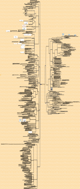 Carte mentale de la revue générale de la biochimie alimentaire