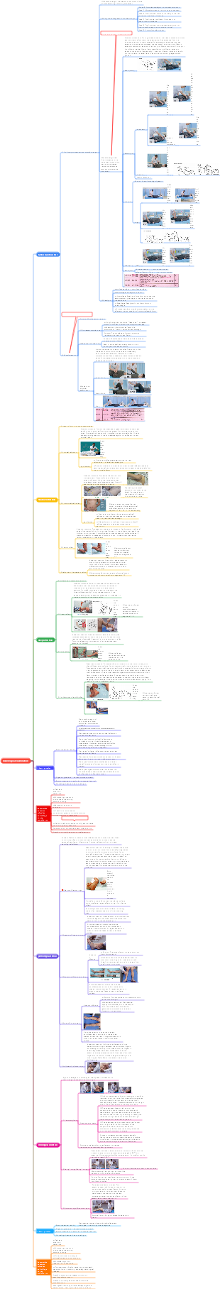 Neurological examination (skills examination requirement)