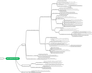 male reproductive system