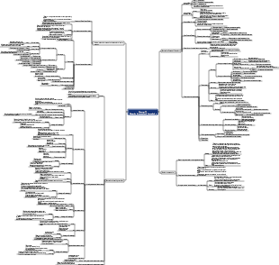 Chapter 11 Educational Research and Methods Mind Map