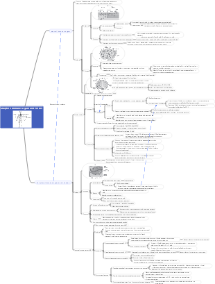 Medical Immunology—Chapter 3 Immune Organs and Tissues