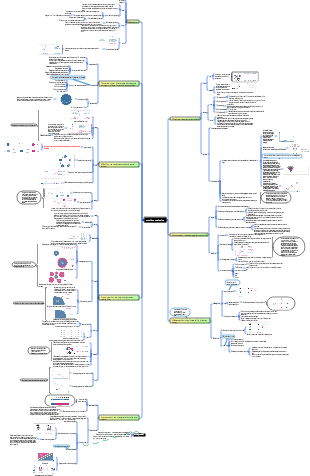Cognitive Awakening Mind Map