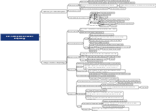 Geography Unit 2 Mind Map of Lithosphere and Surface Forms