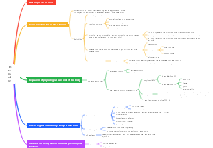 Physiology introduction mind map