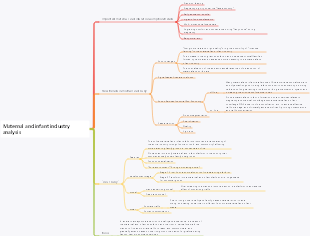 2021 maternal and infant industry analysis mind map
