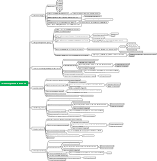 Risk management mind map