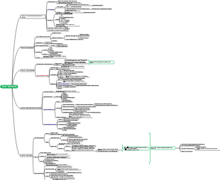 Auditing-Chapter 1 Audit Overview Mind Map