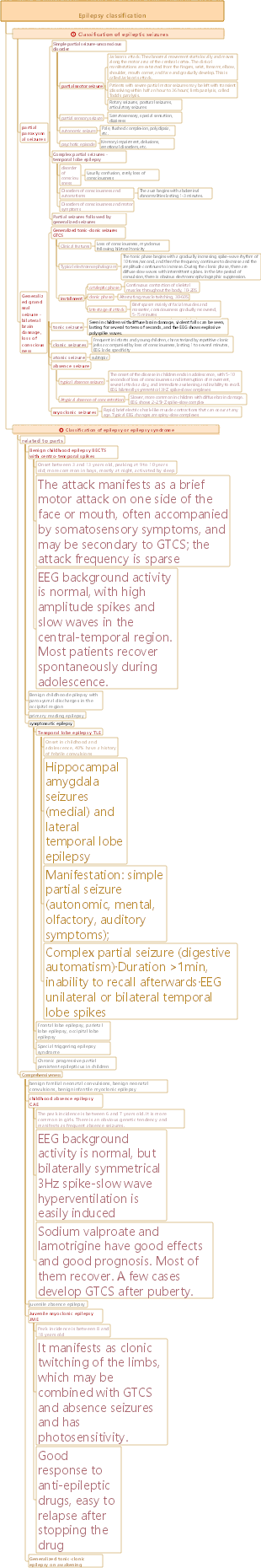 Medical epilepsy classification
