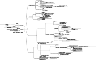 Physiology—production and excretion of urine