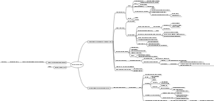 Physiology—functions of the nervous system