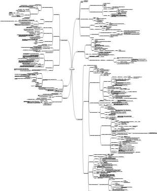 Physiology—Digestion and Absorption