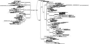 Physiology - mind map of basic functions of cells